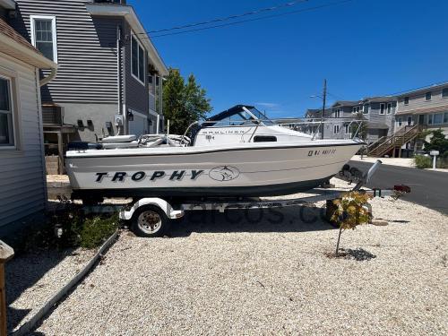 Bayliner Trophy 1802 ficha tecnica 